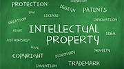 Ivory Coast intellectual property rights investigator